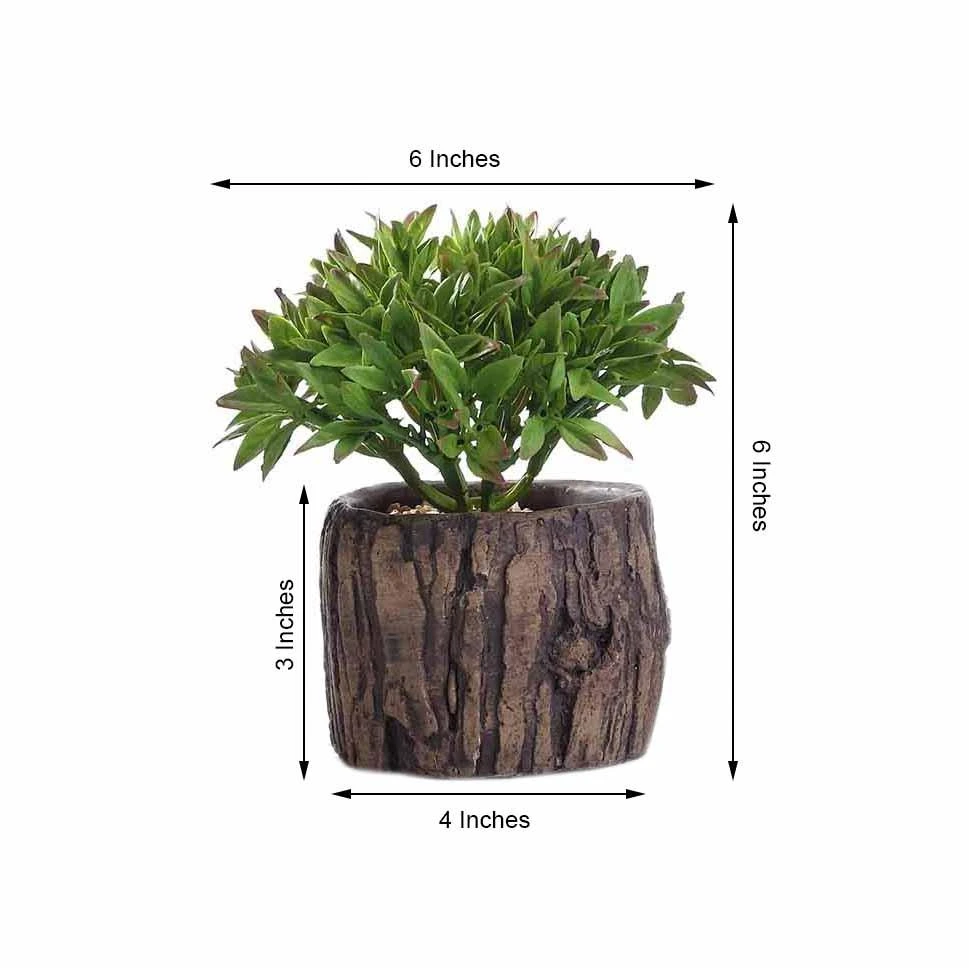 3 Pack Artificial Stump Planter Pot And Aeonium Succulent Plants 6" 8 3 Pack Artificial Stump Planter Pot And Aeonium Succulent Plants 6" - Image 8