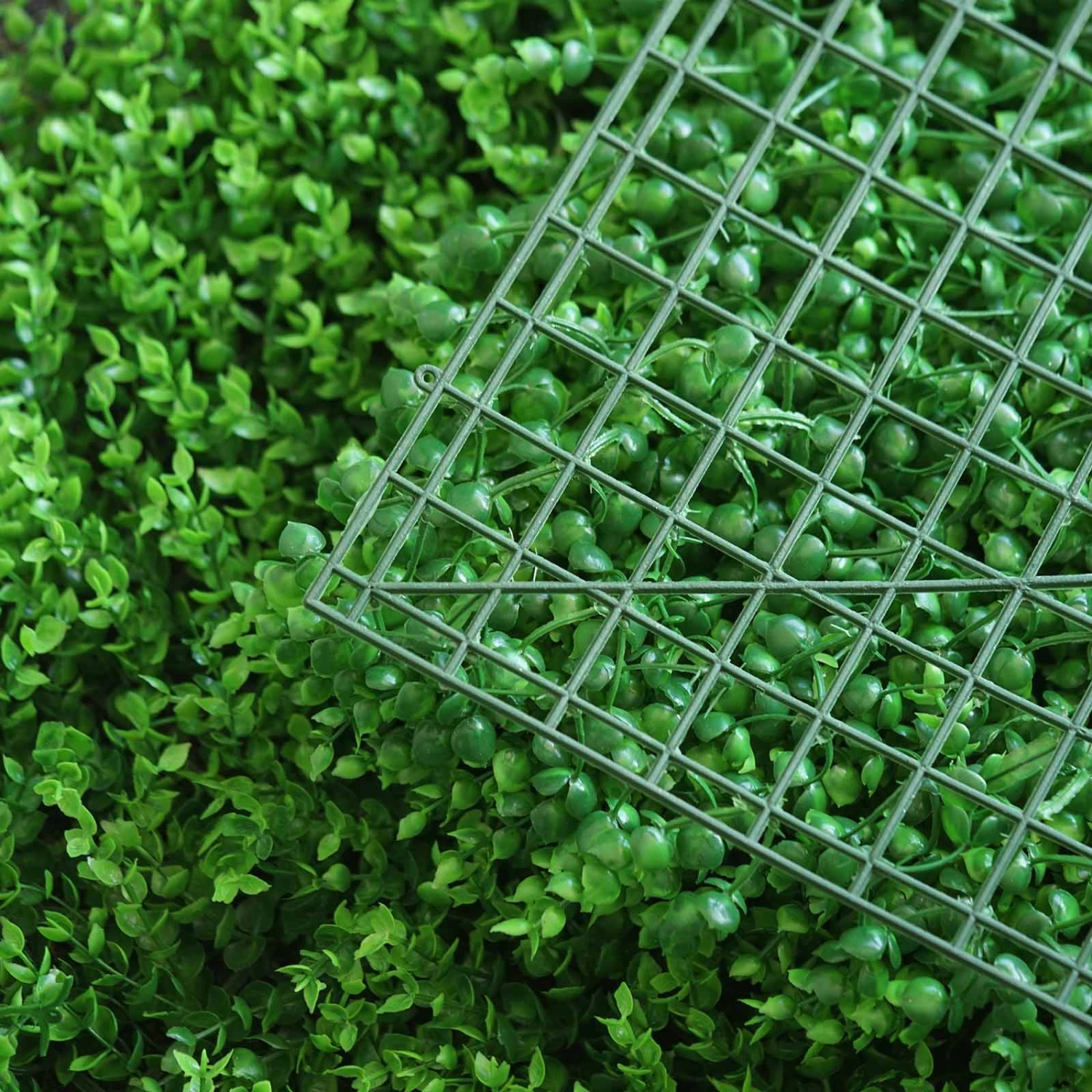 Baby Green Boxwood Hedge Garden Wall Backdrop Mat 4 Artificial Panels 11 Sq Ft. 5 Baby Green Boxwood Hedge Garden Wall Backdrop Mat 4 Artificial Panels 11 Sq Ft. - Image 5
