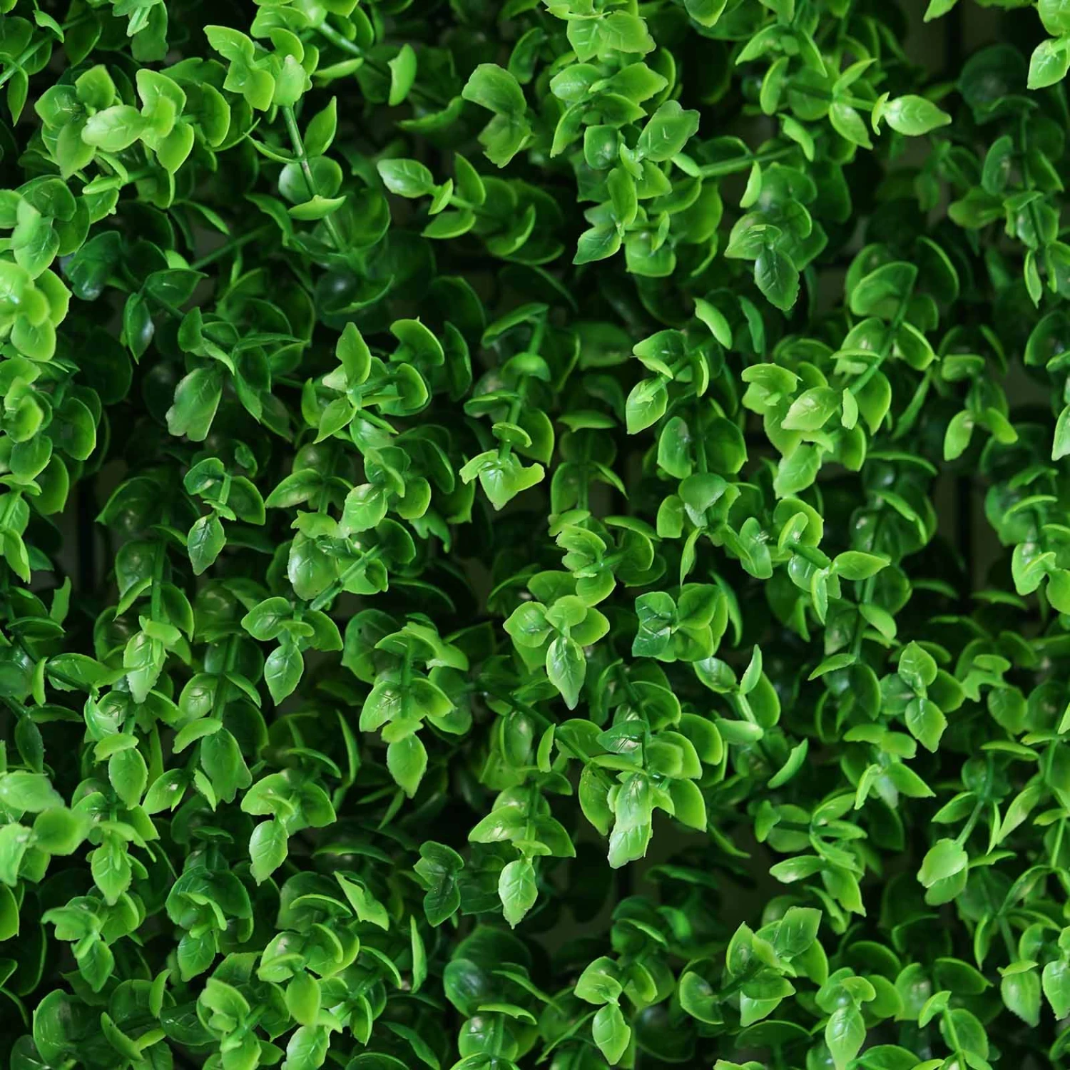 Baby Green Boxwood Hedge Garden Wall Backdrop Mat 4 Artificial Panels 11 Sq Ft. 6 Baby Green Boxwood Hedge Garden Wall Backdrop Mat 4 Artificial Panels 11 Sq Ft. - Image 6