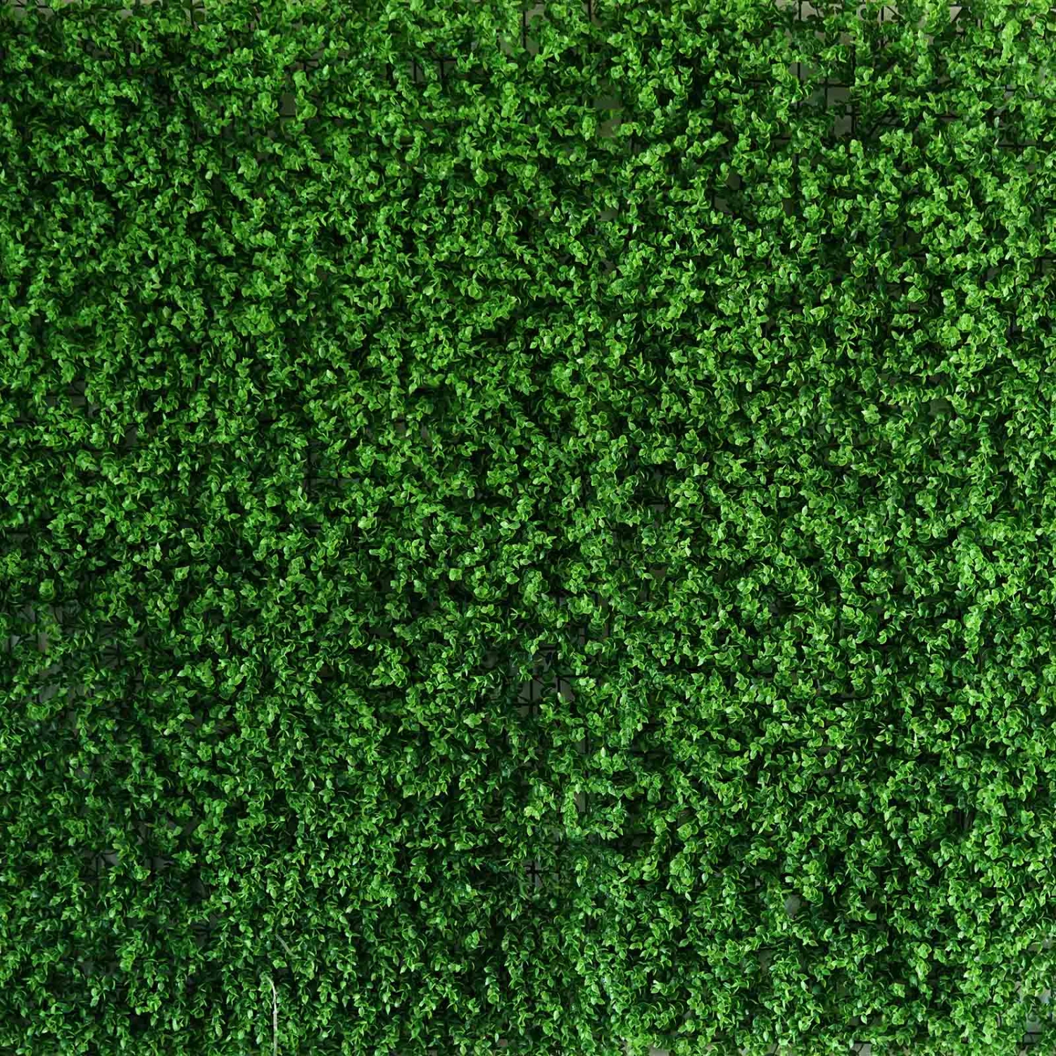 Baby Green Boxwood Hedge Garden Wall Backdrop Mat 4 Artificial Panels 11 Sq Ft. 8 Baby Green Boxwood Hedge Garden Wall Backdrop Mat 4 Artificial Panels 11 Sq Ft. - Image 8