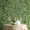 White Tip Green Boxwood Hedge Garden Wall Backdrop Mat 4 Artificial Panels 11 Sq Ft.