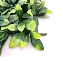 Dual Tone Green Lemon Leaf Garden Wall, Greenery Grass Backdrop Mat, Indoor/Outdoor UV Protected Foliage 4 Artificial Panels 12 Sq. Ft. -Home Decor Promotional Store ARTI 5062 GRN 29 D08.progressive cb700390 3e9c 427e abfd 2515f03f509c