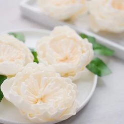 16 Pcs Cream Artificial Foam Blooming Peonies With Stem Box Set, DIY Bouquet Centerpiece 4" -Home Decor Promotional Store ARTI FOAMMIX 01 CRM D04.progressive 63d15e11 a477 4d06 83e2 0343a8e8365c