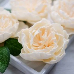 16 Pcs Cream Artificial Foam Blooming Peonies With Stem Box Set, DIY Bouquet Centerpiece 4" -Home Decor Promotional Store ARTI FOAMMIX 01 CRM D05.progressive 6b0272ce 9b59 44d3 9c9c 7d482aaee7e9