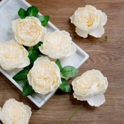 16 Pcs Cream Artificial Foam Blooming Peonies With Stem Box Set, DIY Bouquet Centerpiece 4" -Home Decor Promotional Store ARTI FOAMMIX 01 CRM D07.progressive 6f11f947 df15 4b0f 8430 da28c8bb4234