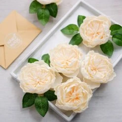 16 Pcs Cream Artificial Foam Blooming Peonies With Stem Box Set, DIY Bouquet Centerpiece 4"