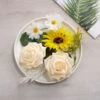 40 Pcs Artificial Rose & Silk Sunflower With Stem Box Set, Mixed Faux Floral Arrangements - Cream/White