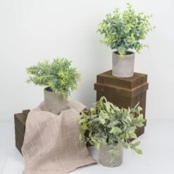3 Plant Set Mini Potted Artificial Eucalyptus, Rosemary & Boxwood Faux Planter Collection 9" -Home Decor Promotional Store ARTI GRN PT001 ASST D12.progressive 045ac0d3 0004 4f6f 921e 5f4c6d0f9924