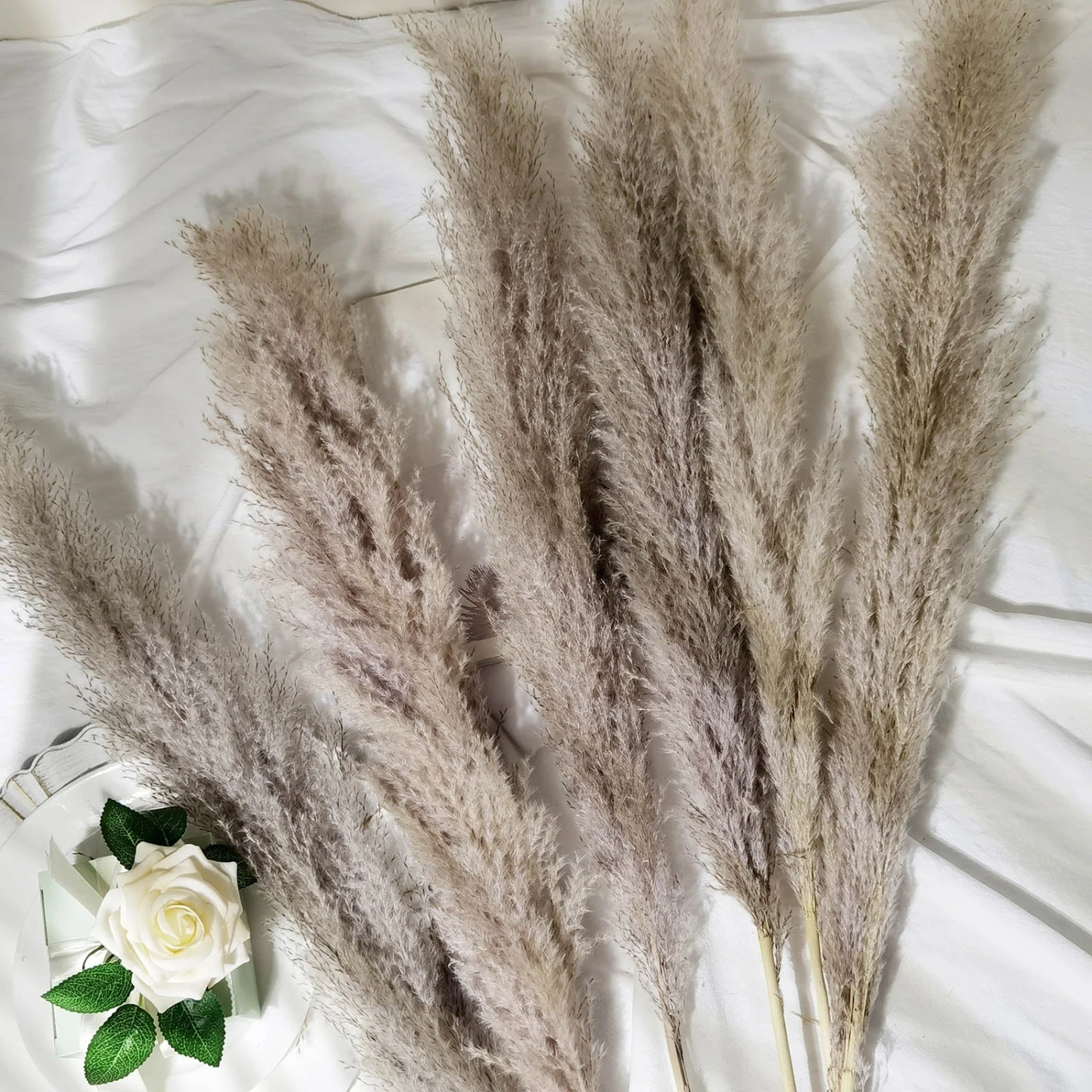 6 Stems Dried Natural Pampas Grass Plant Sprays 49" 1 6 Stems Dried Natural Pampas Grass Plant Sprays 49"