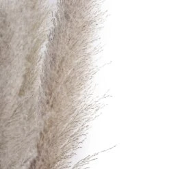 6 Stems Dried Natural Pampas Grass Plant Sprays 49" 30 6 Stems Dried Natural Pampas Grass Plant Sprays 49" -Home Decor Promotional Store ARTI PAMP 001 L NAT D03