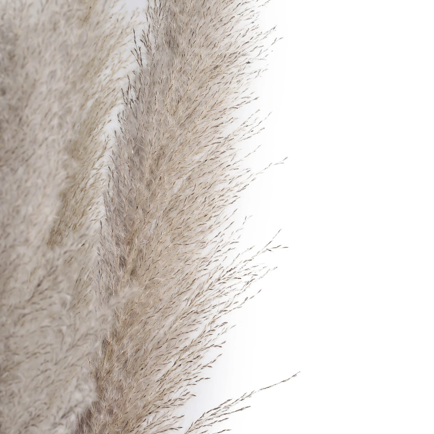 6 Stems Dried Natural Pampas Grass Plant Sprays 49" 11 6 Stems Dried Natural Pampas Grass Plant Sprays 49" - Image 11