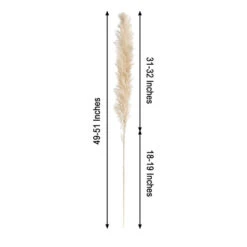 6 Stems Dried Natural Pampas Grass Plant Sprays 49" 25 6 Stems Dried Natural Pampas Grass Plant Sprays 49" -Home Decor Promotional Store ARTI PAMP 001 L WHEA 98 550x 2603f59f db56 4803 9b80 e70d3cc16961