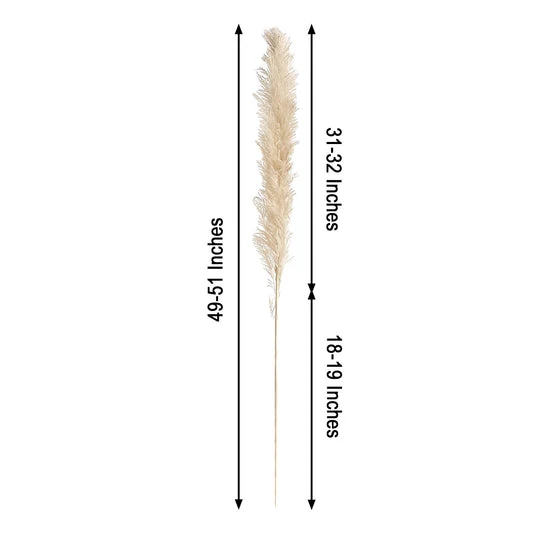 6 Stems Dried Natural Pampas Grass Plant Sprays 49" 6 6 Stems Dried Natural Pampas Grass Plant Sprays 49" - Image 6