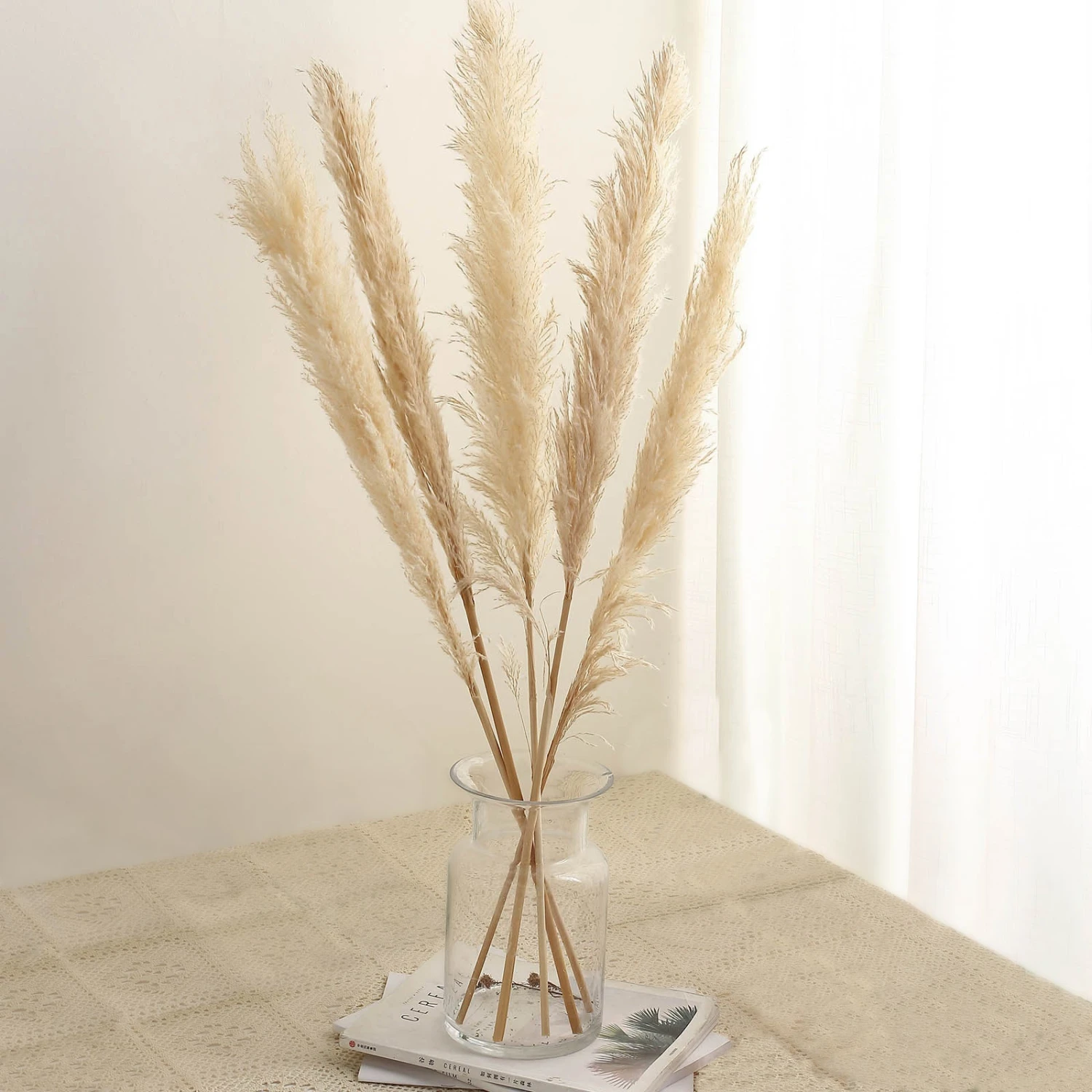 6 Stems Dried Natural Pampas Grass Plant Sprays 49" 12 6 Stems Dried Natural Pampas Grass Plant Sprays 49" - Image 12