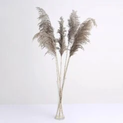 6 Stems Dried Natural Pampas Grass Plant Sprays 32" 29 6 Stems Dried Natural Pampas Grass Plant Sprays 32" -Home Decor Promotional Store ARTI PAMP 001 S NAT 99.progressive cf6b6131 8b5d 4fdf 8af1 48bb6fd85f9f