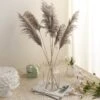 6 Stems Dried Natural Pampas Grass Plant Sprays 32"