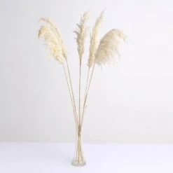 6 Stems Dried Natural Pampas Grass Plant Sprays 32" 37 6 Stems Dried Natural Pampas Grass Plant Sprays 32" -Home Decor Promotional Store ARTI PAMP 001 S WHEA 99.progressive e2b9b679 759b 4968 873c 395d4e75fbb0