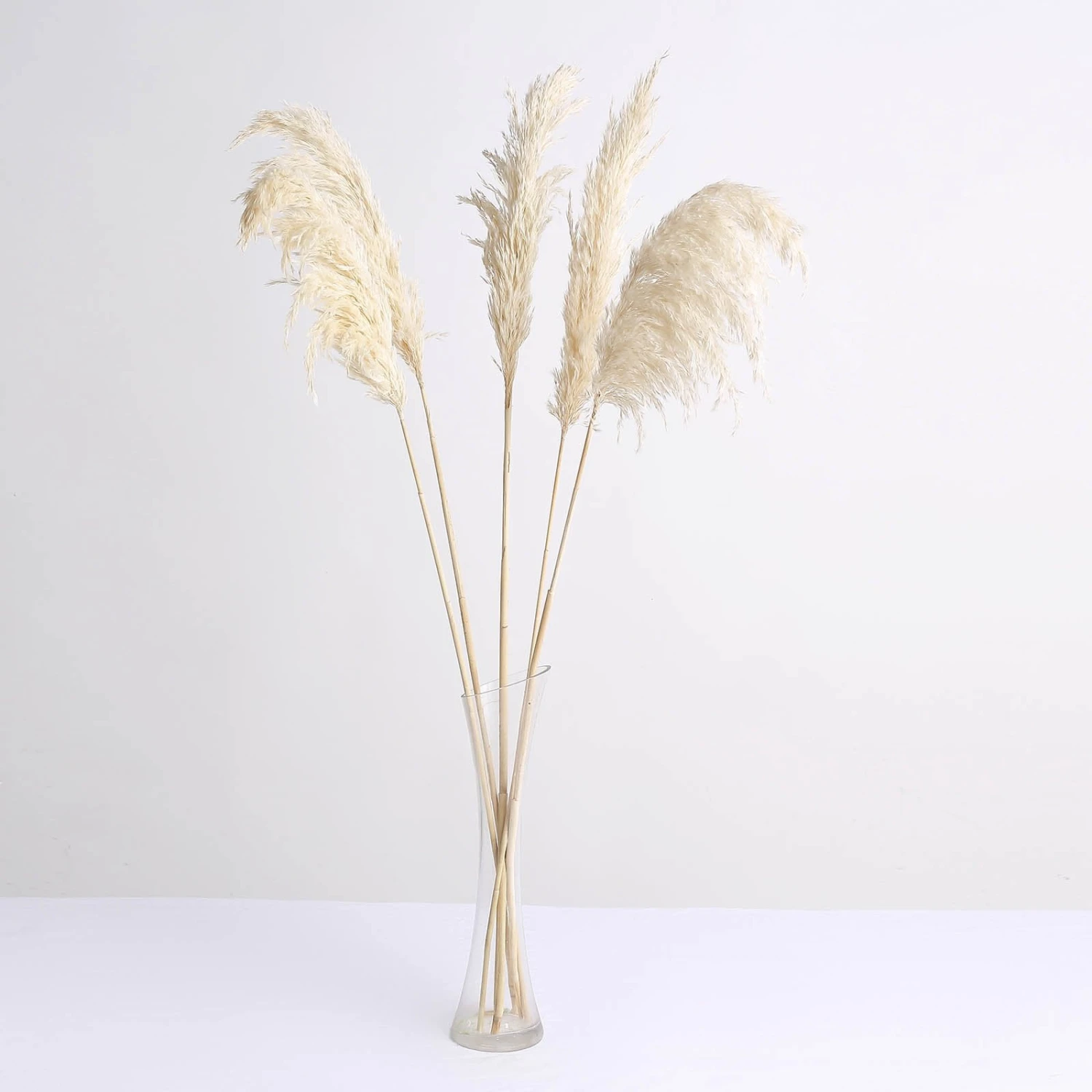 6 Stems Dried Natural Pampas Grass Plant Sprays 32" 19 6 Stems Dried Natural Pampas Grass Plant Sprays 32" - Image 19