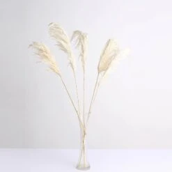 6 Stems Dried Natural Pampas Grass Plant Sprays 32" 33 6 Stems Dried Natural Pampas Grass Plant Sprays 32" -Home Decor Promotional Store ARTI PAMP 001 S WHT 99.progressive 353759a7 0b53 4cd8 9261 6e77e2a030a1