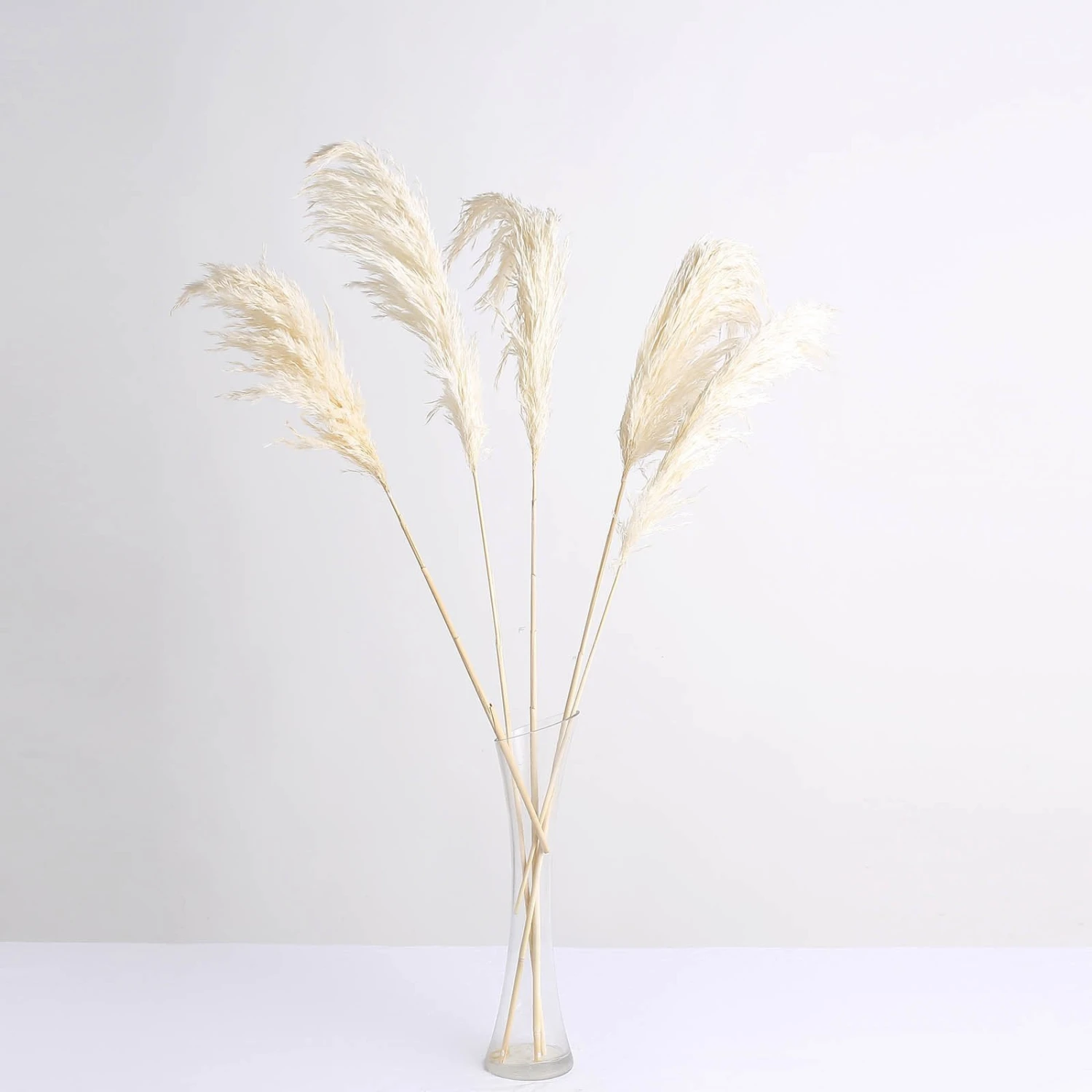 6 Stems Dried Natural Pampas Grass Plant Sprays 32" 15 6 Stems Dried Natural Pampas Grass Plant Sprays 32" - Image 15