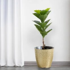 2 Pack Artificial Fiddle Leaf Fig Tree Potted Indoor Planter 3ft -Home Decor Promotional Store ARTI POT TROP002 S GRN 01.progressive cb8a246a d1c2 4839 8cb4 d20c38dd984a