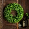 2 Pack Green Artificial Lifelike Eucalyptus Leaf Spring Wreaths 21"