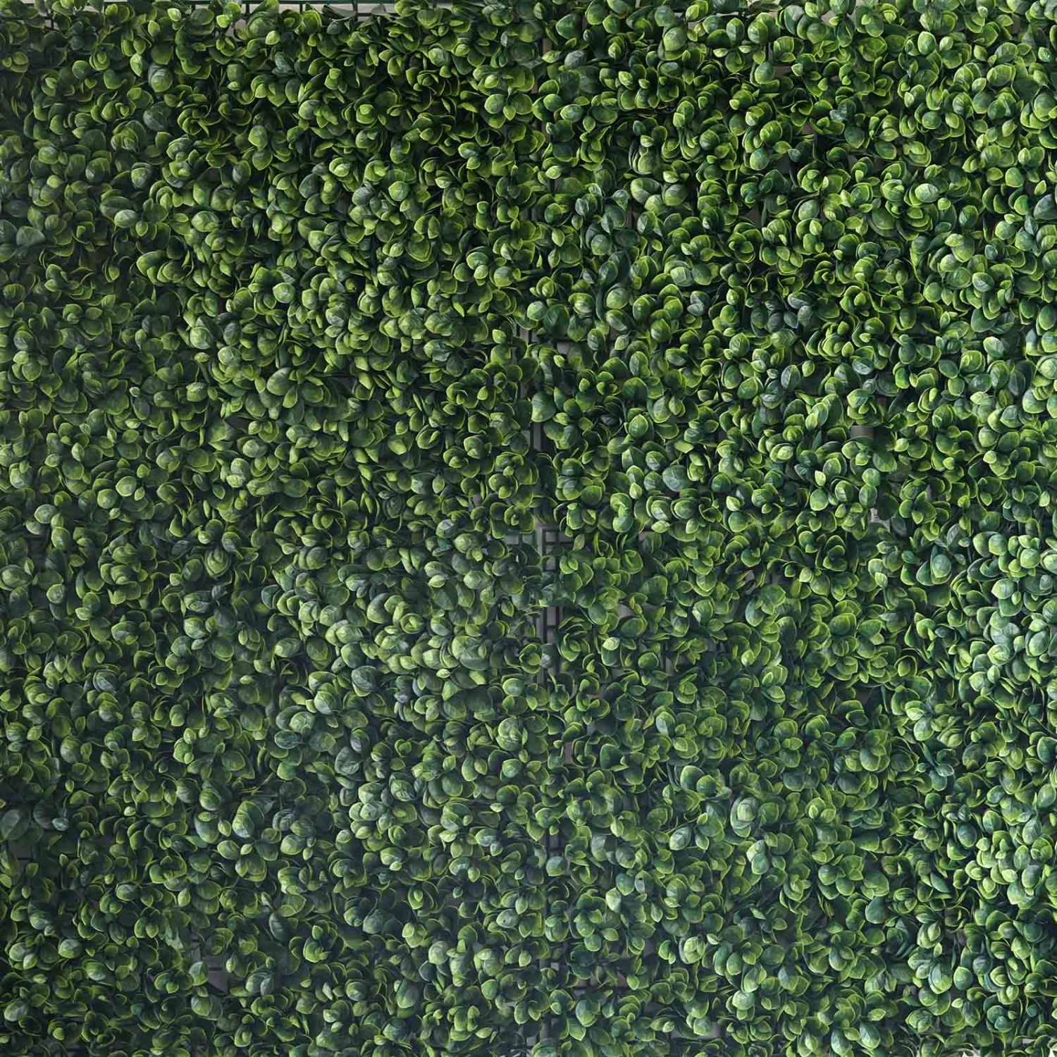 11 Sq Ft. | 4 Panels Green Boxwood Hedge Garden Wall Backdrop Mat 8 11 Sq Ft. | 4 Panels Green Boxwood Hedge Garden Wall Backdrop Mat - Image 8