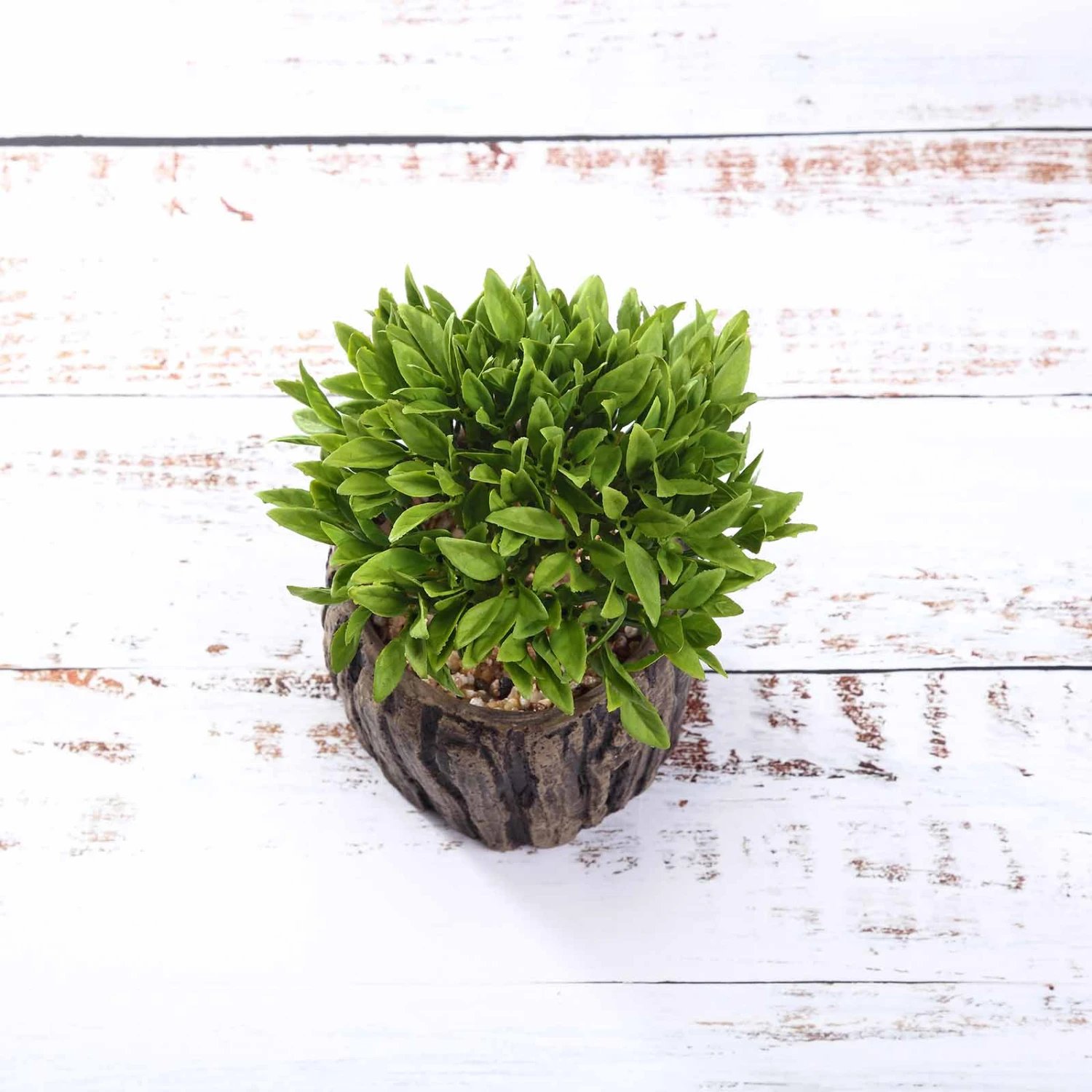 3 Pack Artificial Stump Planter Pot And Aeonium Succulent Plants 6" 6 3 Pack Artificial Stump Planter Pot And Aeonium Succulent Plants 6" - Image 6