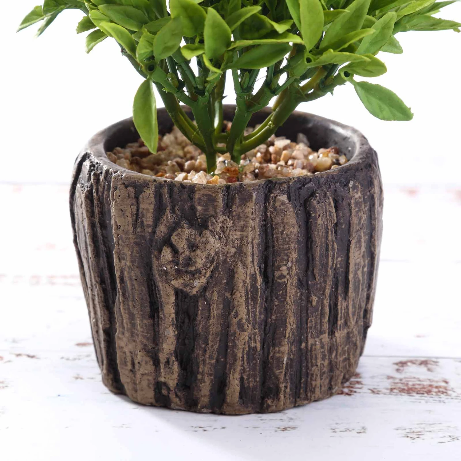 3 Pack Artificial Stump Planter Pot And Aeonium Succulent Plants 6" 5 3 Pack Artificial Stump Planter Pot And Aeonium Succulent Plants 6" - Image 5