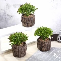3 Pack Artificial Stump Planter Pot And Aeonium Succulent Plants 6"