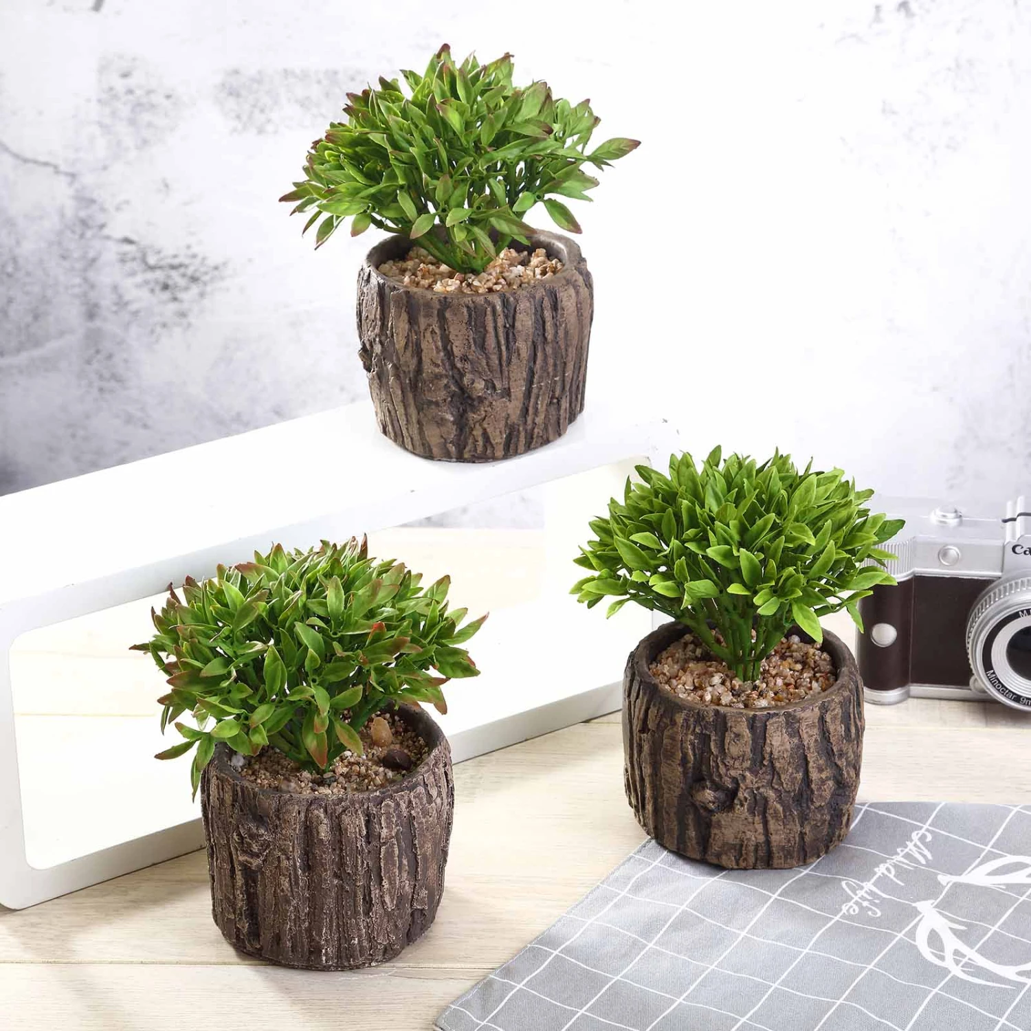 3 Pack Artificial Stump Planter Pot And Aeonium Succulent Plants 6" 1 3 Pack Artificial Stump Planter Pot And Aeonium Succulent Plants 6"