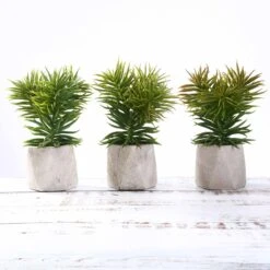 3 Pack Ceramic Planter Pot And Artificial Crassula Succulent Plants 8" -Home Decor Promotional Store ARTI SUC PT002 ASST D01