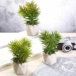 3 Pack Ceramic Planter Pot And Artificial Crassula Succulent Plants 8"