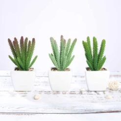 3 Pack Ceramic Planter Pot & Artificial Cacti Succulent Plants 7" -Home Decor Promotional Store ARTI SUC PT003 ASST D01