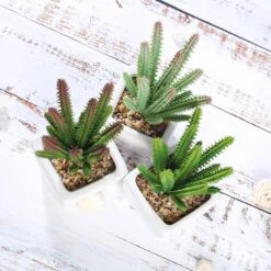 3 Pack Ceramic Planter Pot & Artificial Cacti Succulent Plants 7" -Home Decor Promotional Store ARTI SUC PT003 ASST D02