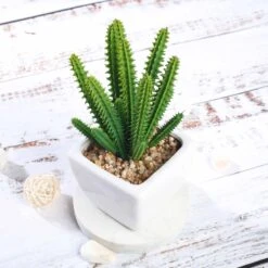 3 Pack Ceramic Planter Pot & Artificial Cacti Succulent Plants 7" -Home Decor Promotional Store ARTI SUC PT003 ASST D06
