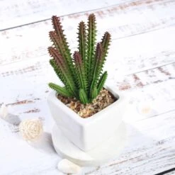 3 Pack Ceramic Planter Pot & Artificial Cacti Succulent Plants 7" -Home Decor Promotional Store ARTI SUC PT003 ASST D07