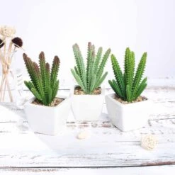 3 Pack Ceramic Planter Pot & Artificial Cacti Succulent Plants 7" -Home Decor Promotional Store ARTI SUC PT003 ASST 02