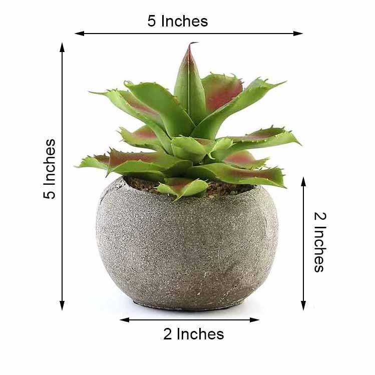 3 Pack Ceramic Planter Pot & Artificial Aloe Succulent Plants 5" 16 3 Pack Ceramic Planter Pot & Artificial Aloe Succulent Plants 5" - Image 16