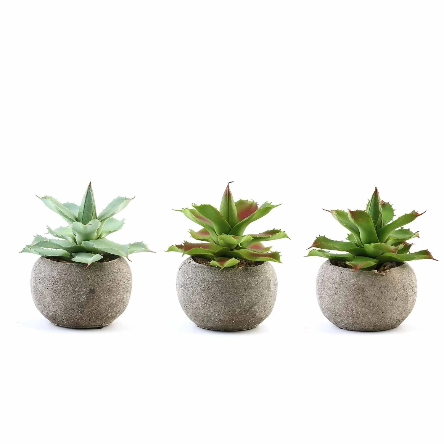 3 Pack Ceramic Planter Pot & Artificial Aloe Succulent Plants 5" 5 3 Pack Ceramic Planter Pot & Artificial Aloe Succulent Plants 5" - Image 5