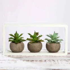 3 Pack Ceramic Planter Pot & Artificial Aloe Succulent Plants 5" 21 3 Pack Ceramic Planter Pot & Artificial Aloe Succulent Plants 5" -Home Decor Promotional Store ARTI SUC PT004 ASST D01