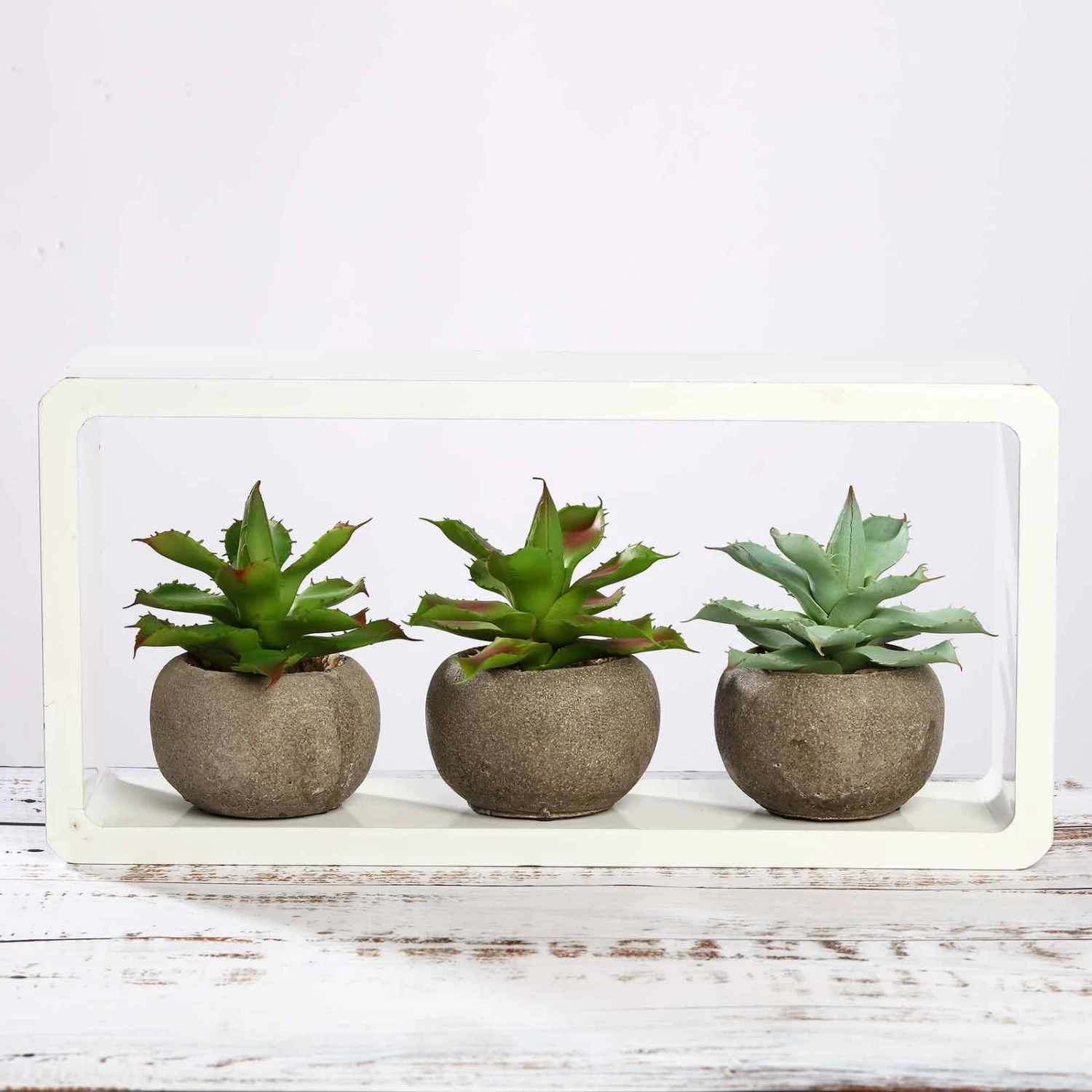 3 Pack Ceramic Planter Pot & Artificial Aloe Succulent Plants 5" 6 3 Pack Ceramic Planter Pot & Artificial Aloe Succulent Plants 5" - Image 6