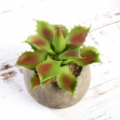 3 Pack Ceramic Planter Pot & Artificial Aloe Succulent Plants 5" 23 3 Pack Ceramic Planter Pot & Artificial Aloe Succulent Plants 5" -Home Decor Promotional Store ARTI SUC PT004 ASST D05