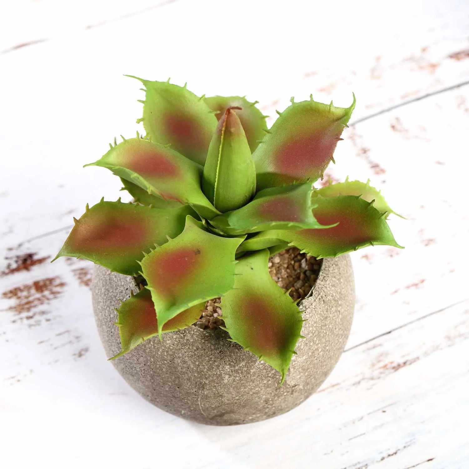 3 Pack Ceramic Planter Pot & Artificial Aloe Succulent Plants 5" 8 3 Pack Ceramic Planter Pot & Artificial Aloe Succulent Plants 5" - Image 8