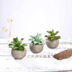 3 Pack Ceramic Planter Pot & Artificial Aloe Succulent Plants 5" 25 3 Pack Ceramic Planter Pot & Artificial Aloe Succulent Plants 5" -Home Decor Promotional Store ARTI SUC PT004 ASST D07