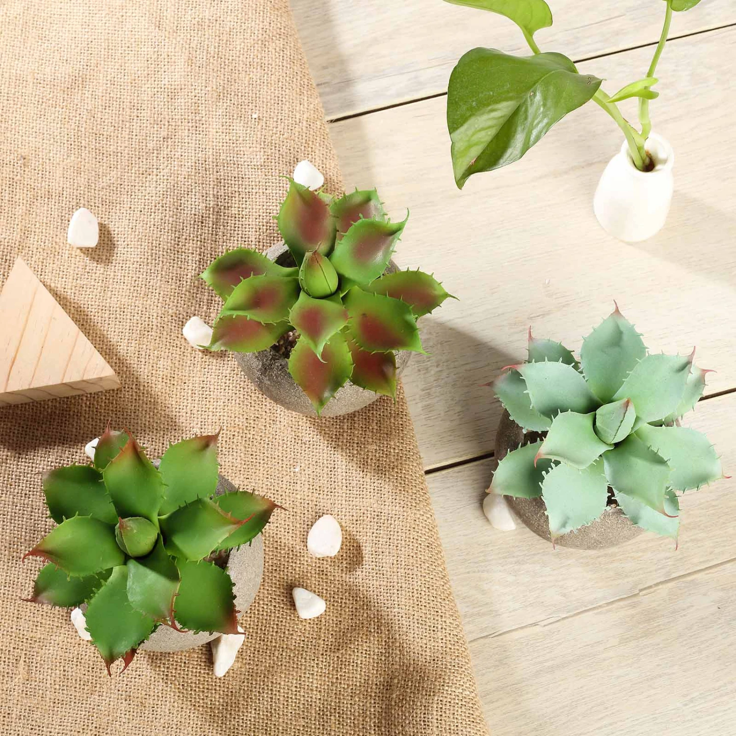 3 Pack Ceramic Planter Pot & Artificial Aloe Succulent Plants 5" 12 3 Pack Ceramic Planter Pot & Artificial Aloe Succulent Plants 5" - Image 12