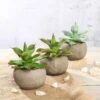 3 Pack Ceramic Planter Pot & Artificial Aloe Succulent Plants 5"