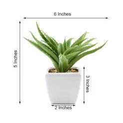 3 Pack Ceramic Planter Pot And Artificial Spot Aloe Succulent Plant 5" 31 3 Pack Ceramic Planter Pot And Artificial Spot Aloe Succulent Plant 5" -Home Decor Promotional Store ARTI SUC PT005 ASST 98.progressive 60f9e5f0 eb95 46ae 94bd d1943be1067e