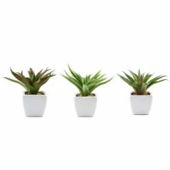 3 Pack Ceramic Planter Pot And Artificial Spot Aloe Succulent Plant 5" 20 3 Pack Ceramic Planter Pot And Artificial Spot Aloe Succulent Plant 5" -Home Decor Promotional Store ARTI SUC PT005 ASST 99