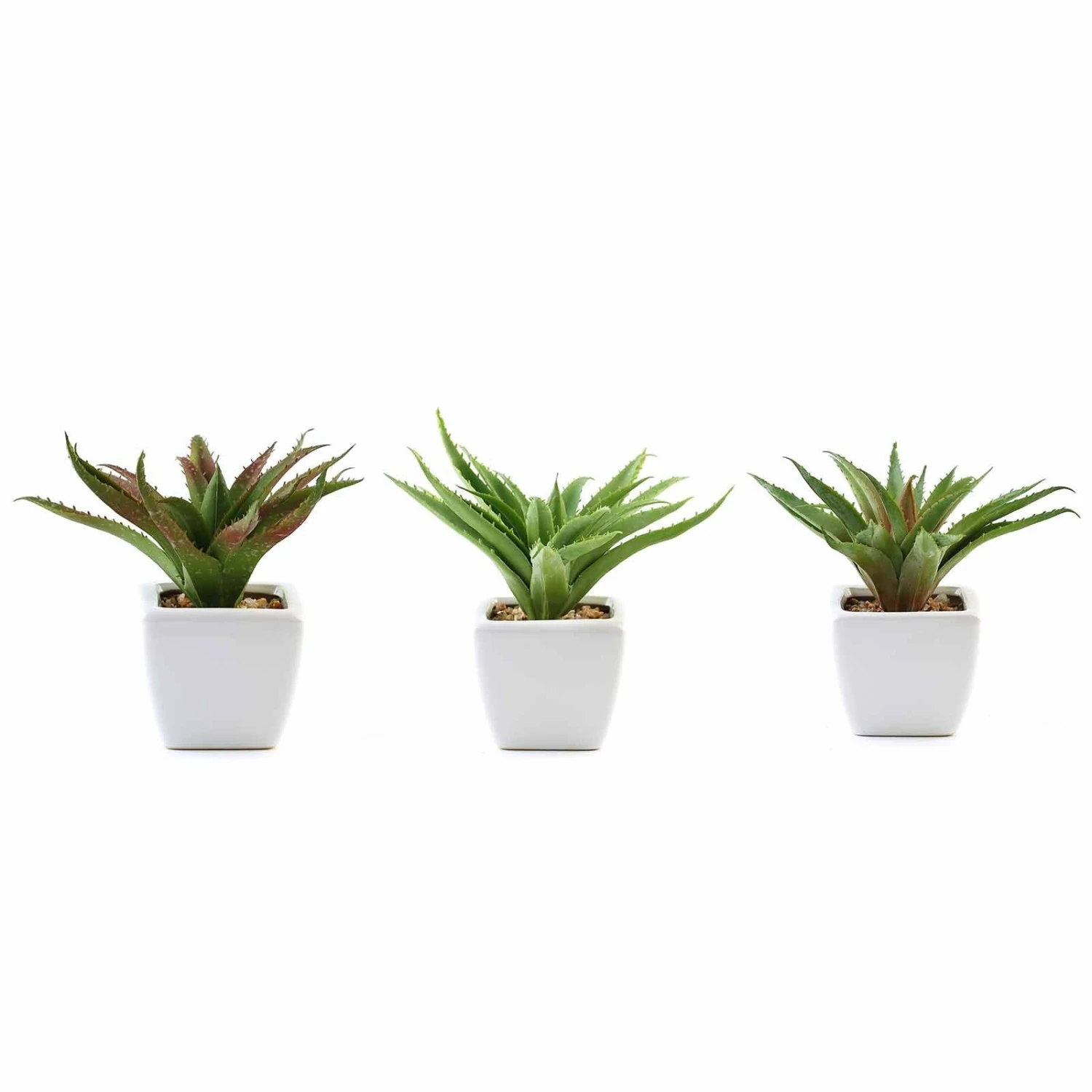 3 Pack Ceramic Planter Pot And Artificial Spot Aloe Succulent Plant 5" 5 3 Pack Ceramic Planter Pot And Artificial Spot Aloe Succulent Plant 5" - Image 5